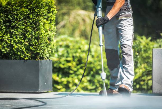 Best Driveway Pressure Washing  in Nicholls, GA