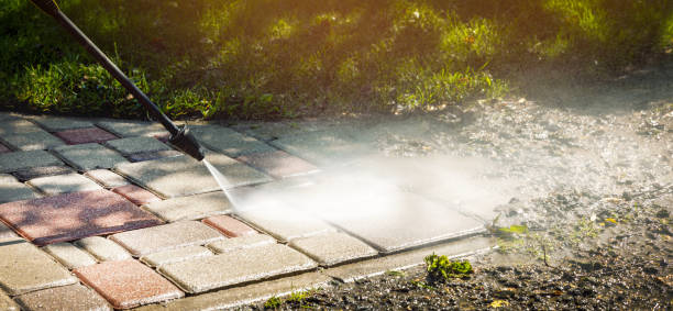 Best Roof Washing  in Nicholls, GA