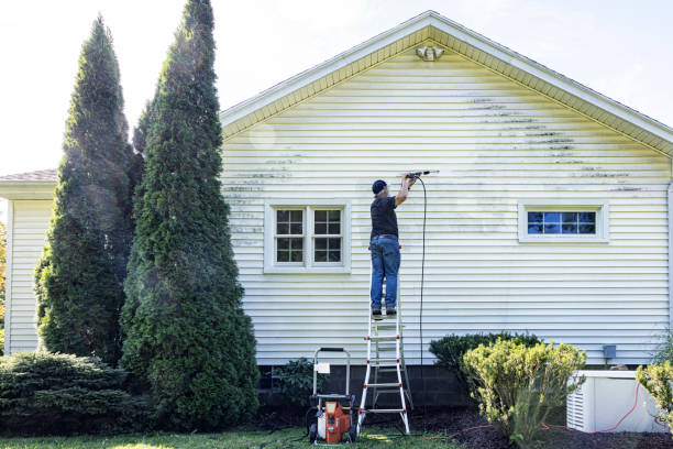 Best Pre-Holiday Cleaning  in Nicholls, GA